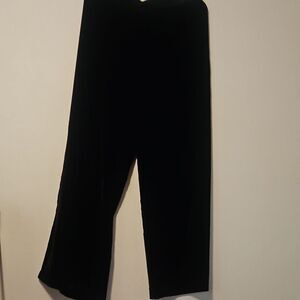 Wynne collection velvet pants L